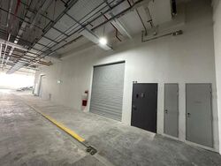 Ct Foodnex (D25), Factory #617044551